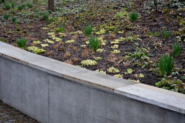 Concrete Wall Construction in Des Moines